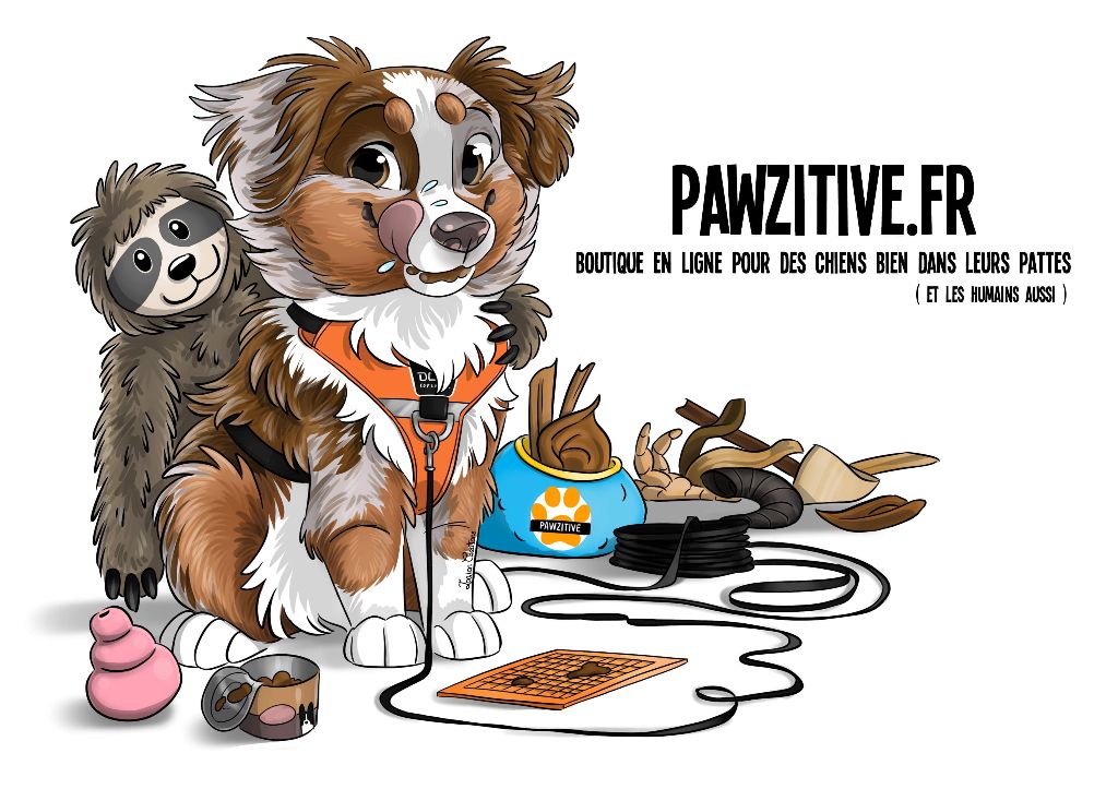 Des Blancs De Souilly - Partenariat Pawzitive