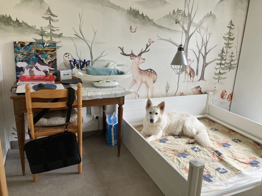 Nursery 