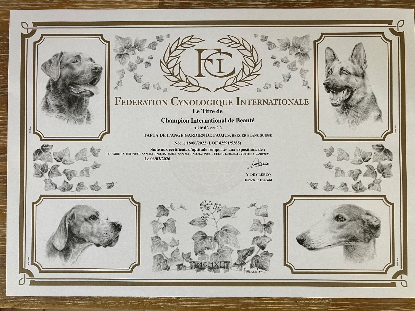 Des Blancs De Souilly - Tafta championne internationale